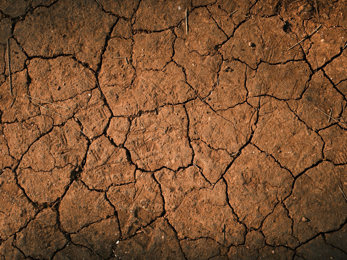 ADHD Meds Dry Mouth: What to Do First
